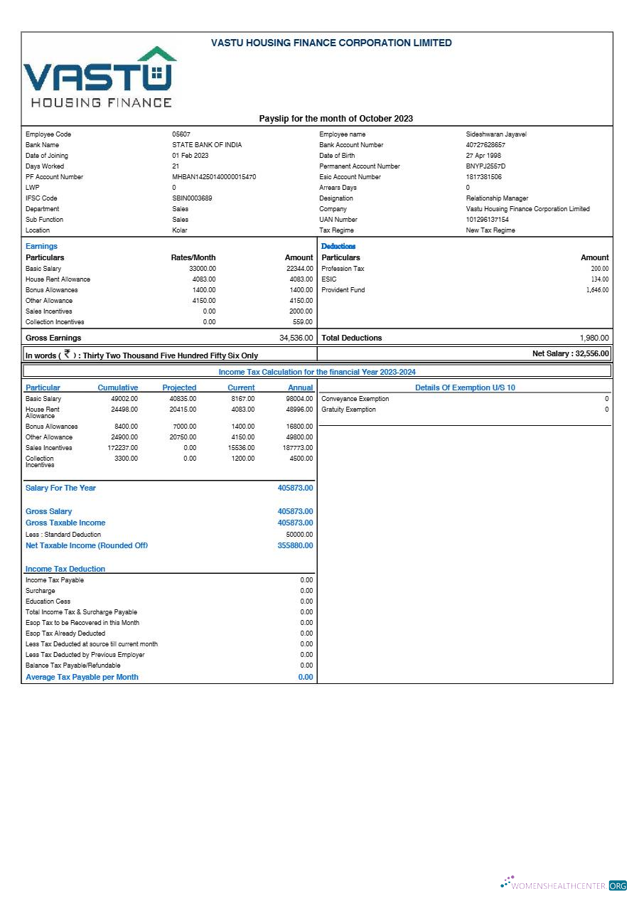 Download Vastu Housing Finance Corporation payslip template in Word and PDF formats.pdf, 1 Photoshop template